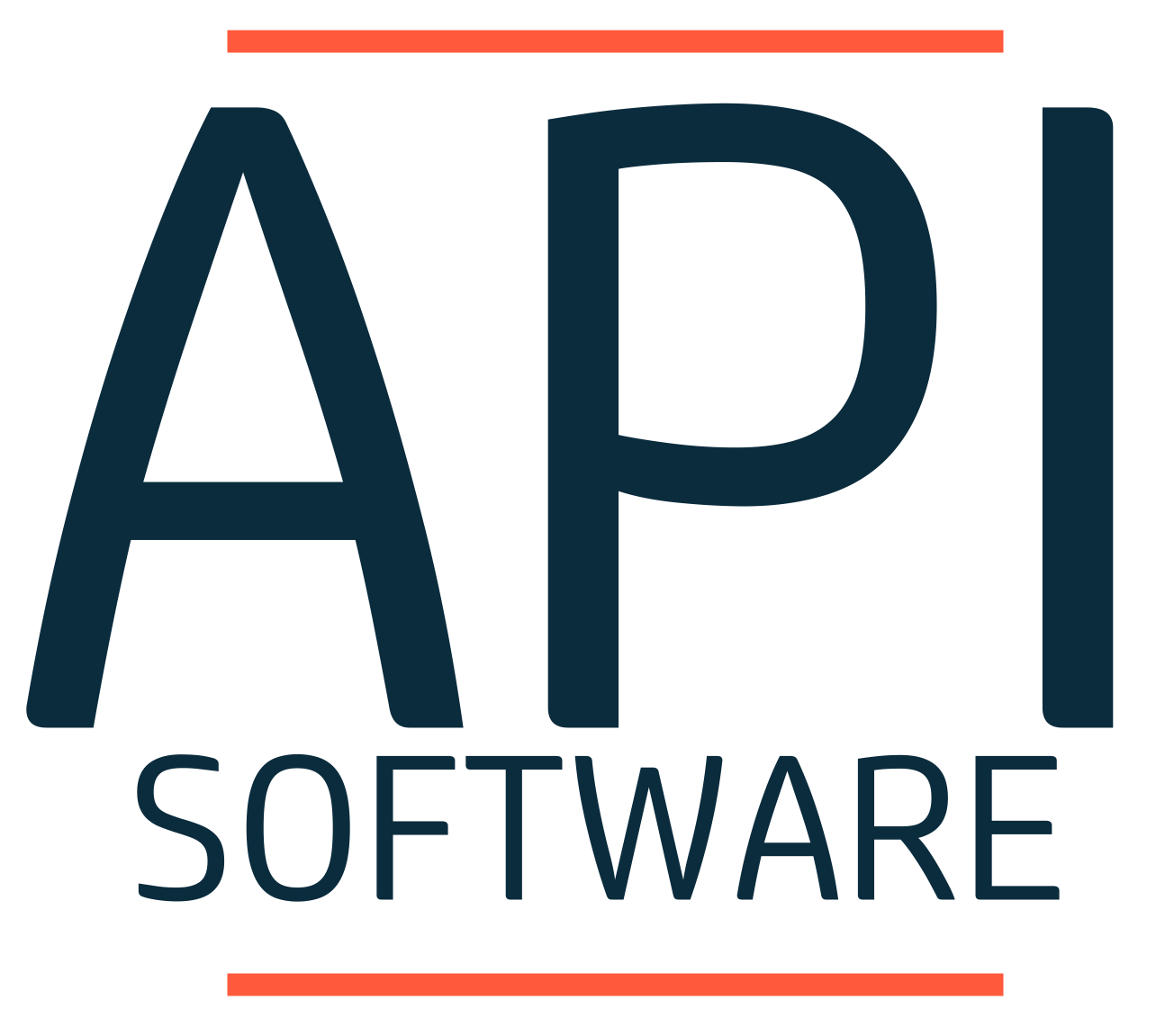 LOGO API 2024-2025 TAMAÑO ORIGINAL